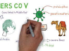 MERS CoV – An overview