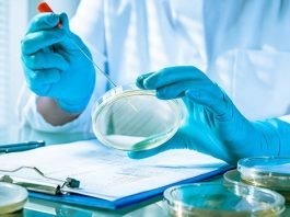 2019 FIP 課程摘要 – 超級抗生素對超級細菌:抗生素的未來