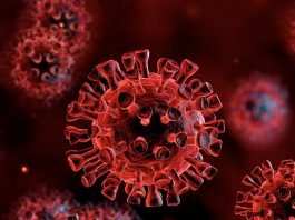 使用NSAIDs (包括Ibuprofen)、ACEIs、ARBs、Corticosteroids類藥物與增加新型冠狀病毒(COVID-19)感染風險及嚴重程度之關聯性